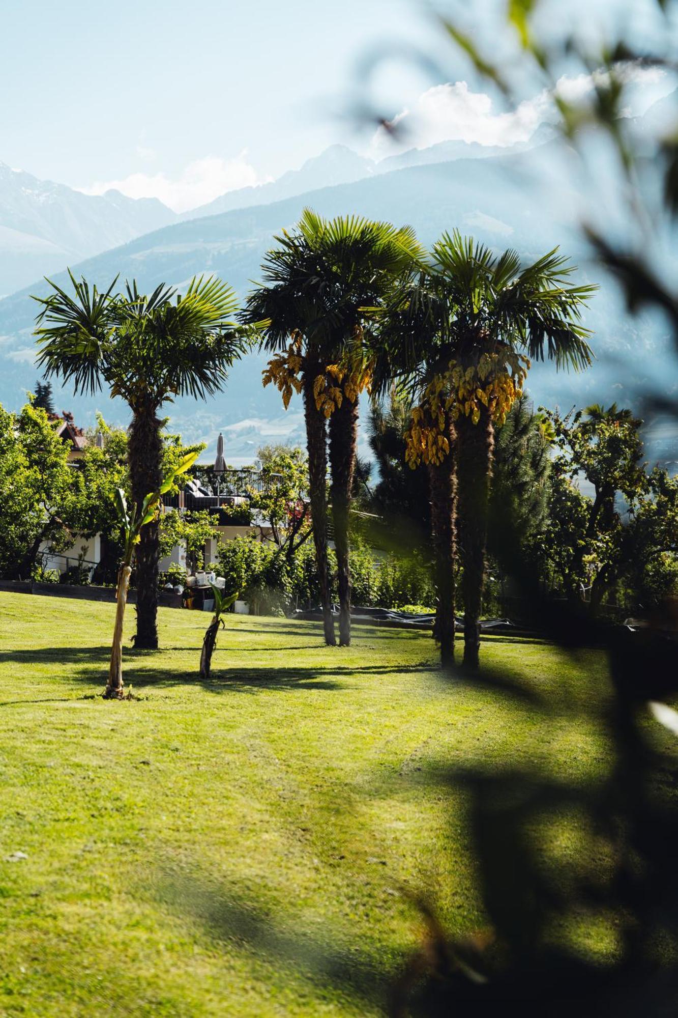 Appartement-Hotel Beatenhof Tirol Eksteriør bilde